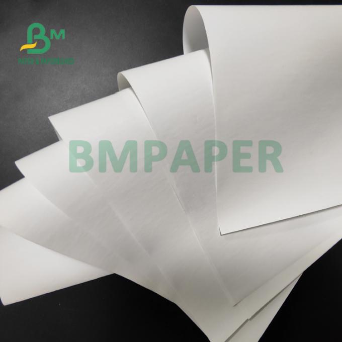 бумага слон крена 55gsm термальная на принтеры POS твердость 565mm x 6000m хорошая