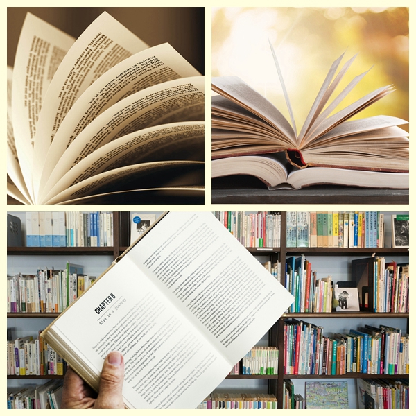 С белой высокой оптовой книги бумажного 65gsm для небылицы даже затеняйте без покрытия