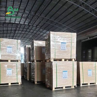 равнина белое Woodfree 60G 70G 80G 90G без покрытия офсетная печать бумажных листов 24 * 38&quot;