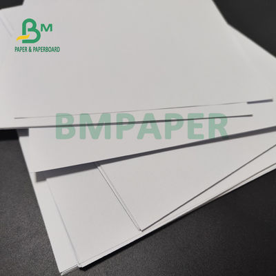120gsm 160gsm возместило высокосортную бумагу для поверхности брошюр 890mm ровной