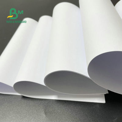 высокосортная бумага 75gsm 90gsm 100gsm 140gsm 160gsm высокая белая Woodfree