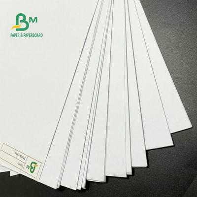 высокосортная бумага 75gsm 90gsm 100gsm 140gsm 160gsm высокая белая Woodfree