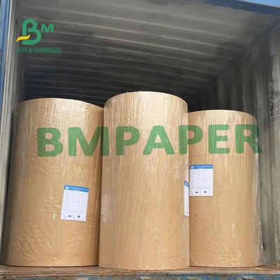 без покрытия крена BPA бумаги восходящего потока теплого воздуха 55g 65g 70g белое свободное для показателя