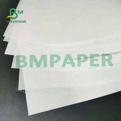 без покрытия крена BPA бумаги восходящего потока теплого воздуха 55g 65g 70g белое свободное для показателя