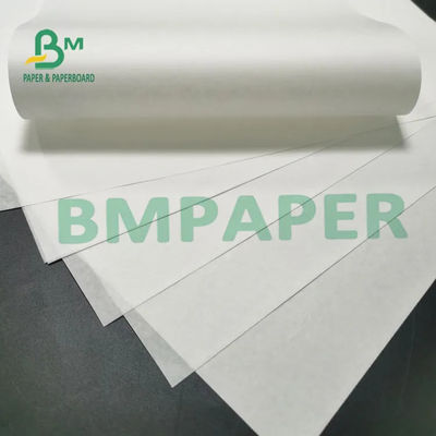 без покрытия крена BPA бумаги восходящего потока теплого воздуха 55g 65g 70g белое свободное для показателя
