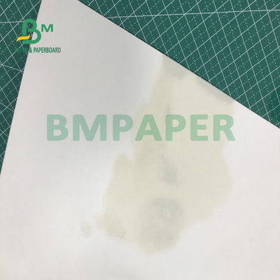 доска каботажного судна чашки 280gsm 300gsm супер поглощает жидкостное представление