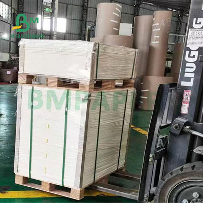 Крен гибкой высокой газетной бумаги гладкости бумажный для создания программы-оболочки овощей