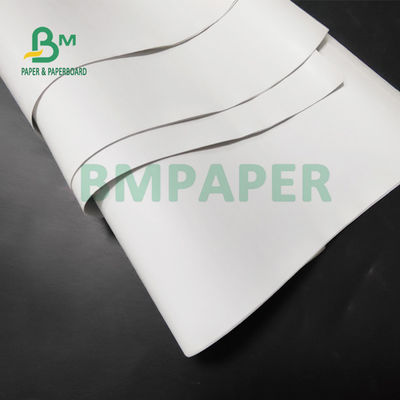 бумага слон крена 55gsm термальная на принтеры POS 565mm x 6000m