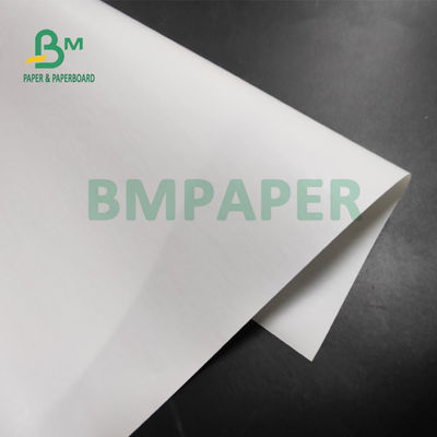 бумага слон крена 55gsm термальная на принтеры POS 565mm x 6000m