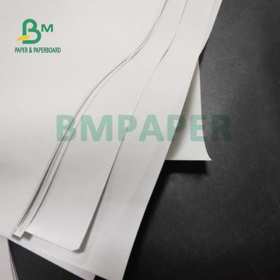 бумага слон крена 55gsm термальная на принтеры POS 565mm x 6000m