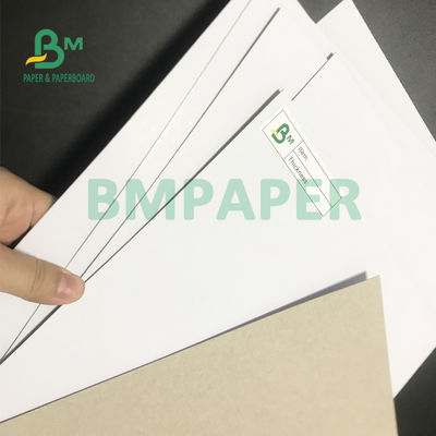 200gsm - 500gsm покрытая жесткость доски дуплекса высокая для коробки упаковки