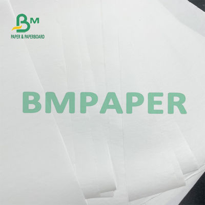Задняя печать термальное BPA свободный бумажный Rolls 48g для небольшого билета