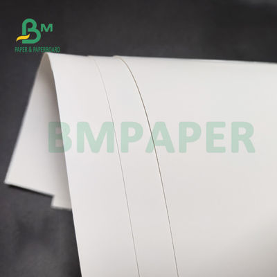 Задняя часть 350gsm 36&quot; x 48&quot; крена 1 бортовая FBB замораживателя пульпы девственницы бумажное белая для пакета здравоохранения