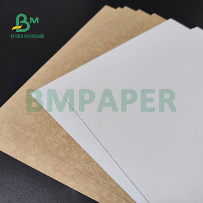 250gsm 300gsm C1S Крафт назад покрыло двухшпиндельную доску для сейфа еды коробки салата