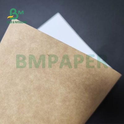 250gsm 300gsm C1S Крафт назад покрыло двухшпиндельную доску для сейфа еды коробки салата