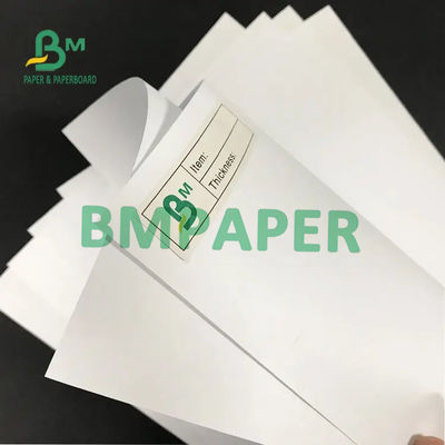 Слон бумага 160gsm 180gsm 200gsm Offet Rolls без покрытия белая отбеленная печатая Papel