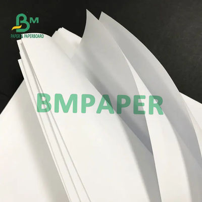 Слон бумага 160gsm 180gsm 200gsm Offet Rolls без покрытия белая отбеленная печатая Papel