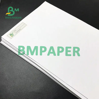 Слон бумага 160gsm 180gsm 200gsm Offet Rolls без покрытия белая отбеленная печатая Papel