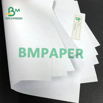 Крен 50gsm 53gsm 60gsm 65cm высокосортной бумаги слон Recyclable пульпы белый 100cm