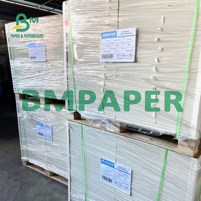240 доска 250 GSM Polycoated Cupstock бумажная для сухих подносов еды