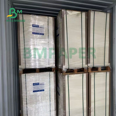 PE стойкости 230gsm+15gsm покрыло бумагу запаса чашки на плошка для супа 560mm x 700mm