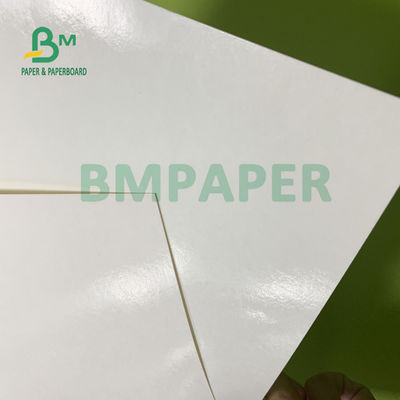 PE стойкости 230gsm+15gsm покрыло бумагу запаса чашки на плошка для супа 560mm x 700mm