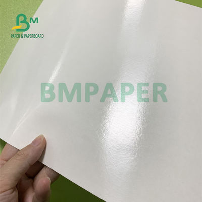 PE стойкости 230gsm+15gsm покрыло бумагу запаса чашки на плошка для супа 560mm x 700mm