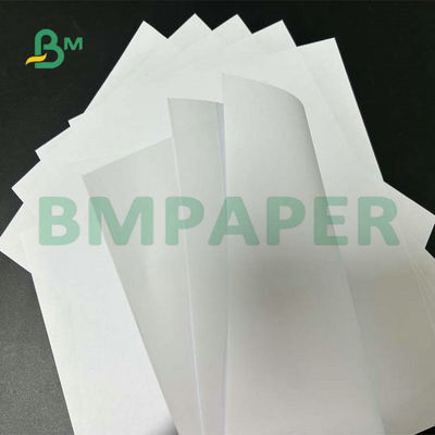Широкий формат Uncoated Woodfree бумажное 55gsm 60gsm 65gsm для печатания текста школы