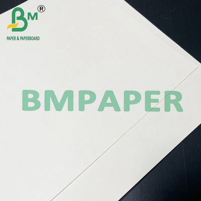 бумага Cupstock еды 190gsm 200gsm 210gsm безопасная для горячей еды