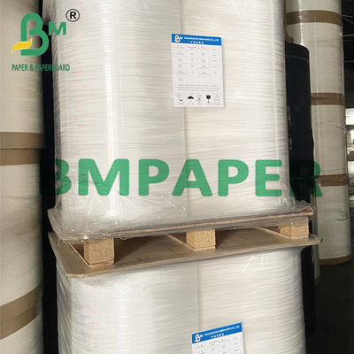 Биоразлагаемая бумажная оболочка из газетной бумаги, 100% переработанная - 24 дюйма х 1700 дюймов для упаковки и печати