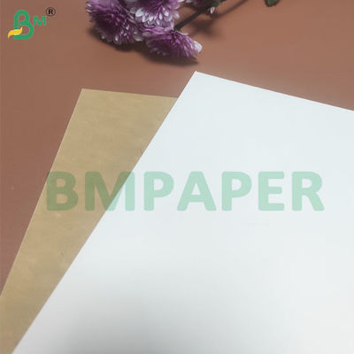 135-350 GSM Высокая жесткость бумажная оболочка для контейнеров с продуктами питания