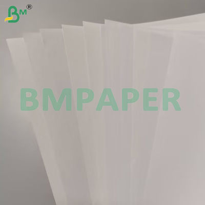 8 1 / 2 x 11 Многоцветная безалкогольная бумага