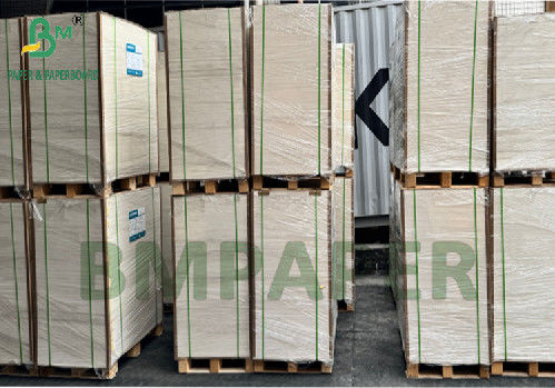 300g 350g 900mm 1000mm Покрытая пищевая бумага SBS для упаковки пищевых продуктов