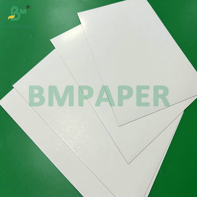 300g 350g 900mm 1000mm Покрытая пищевая бумага SBS для упаковки пищевых продуктов