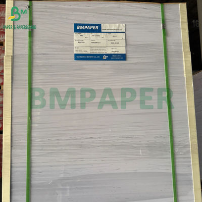 240г +15PE Покрытая 1 сторона Бумага для чашек 31 x 43 дюймов водонепроницаемая 100%
