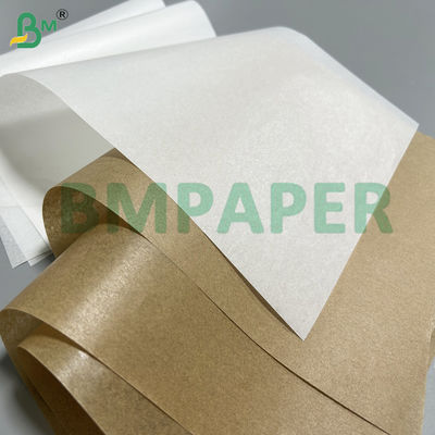 Oven Silicone Paper Water & Oil Resistant Baking Paper For Biscuits
