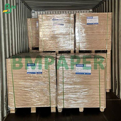 Porous Creped White Filter Base Paper for Basket and Cone shaped Filters