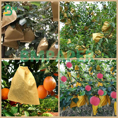 Waterproof Brown Paper 55gsm For Fruit Protection Bags Plant Covers