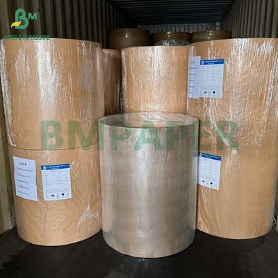 Kit 5 White Greaseproof Paperboard 240GSM for French Fries Take Away Boxes