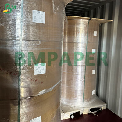 Специальная бумага для блюд и блюд пищевого назначения, PET-покрытая