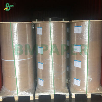 250G - 450G White Top Coated Renewable CKB Kraft Board In Sheet