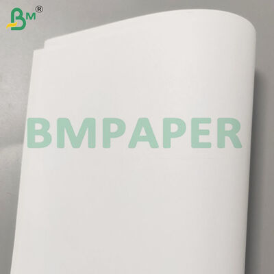 80gsm/90gsm/70gsm Wood-free Jumbo Paper Rolls for Offset Print