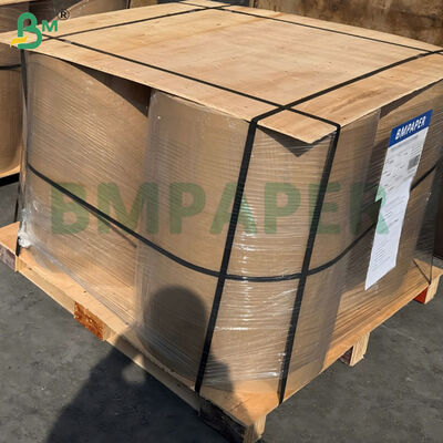 Winter Thermal Paper Original Rolls For Outdoor Low-Temperature POS 55g 65g 70g